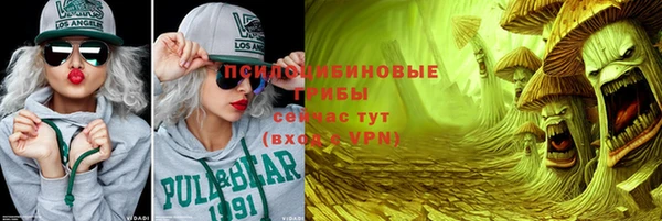 молекула духа Сафоново