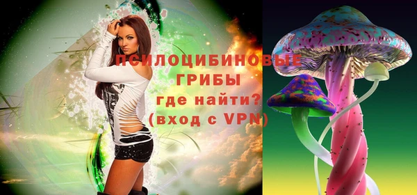 молекула духа Сафоново